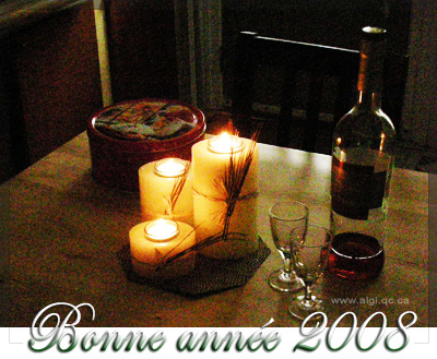 Bonne Année 2008
