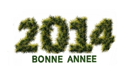 Bonne année 2014