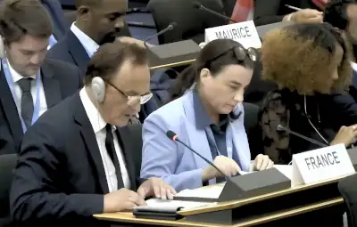 Délégation de la France à l'ONU